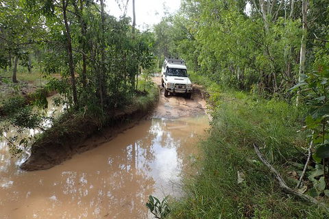 Cairns 4WD Waterfall And Rainforest Tour Including Kuranda Scenic Railway - Redcliffe Tourism 3