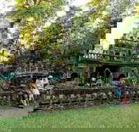 The Original Day Tour to Paronella Park Lake Barrine and Millaa Millaa Falls - Redcliffe Tourism
