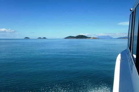 Fozzy\'s 3 Hour, 3 Island Tour - Redcliffe Tourism 7