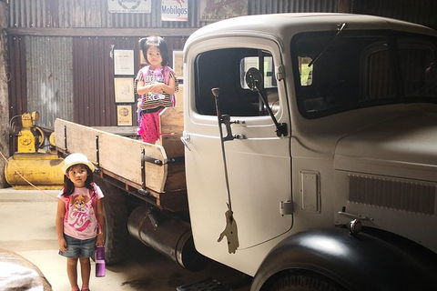 Historic Village Herberton, Kuranda Village And The Skyrail Rainforest Cableway - Redcliffe Tourism 5