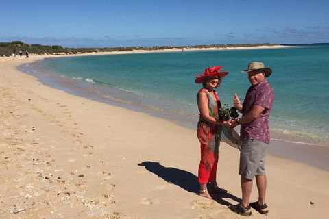 Elope In Paradise - Weddings At Mission Beach - Redcliffe Tourism 6