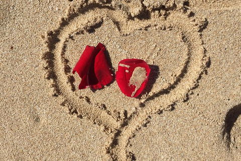 Elope In Paradise - Weddings At Mission Beach - Redcliffe Tourism 3