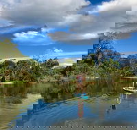 Kuranda Rainforest Paddleboarding Adventure Tour - Redcliffe Tourism