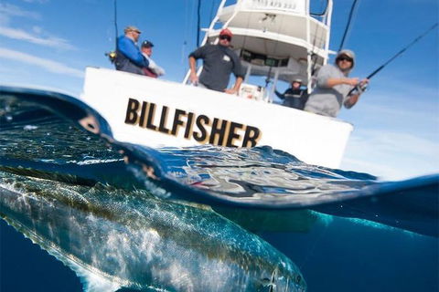 Full Day Fishing Charter Airlie Beach Whitsundays - Redcliffe Tourism 2
