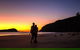 Wildlife Tour - Kangaroos On The Beach At Sunrise - thumb 5