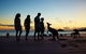Wildlife Tour - Kangaroos On The Beach At Sunrise - thumb 6