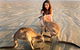 Wildlife Tour - Kangaroos On The Beach At Sunrise - thumb 7
