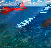 Full Day Reef Cruise Including 10 Minute Heli Scenic Flight Get High Package - Redcliffe Tourism