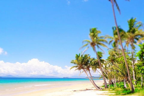 Airport Transfer - Cairns Airport To Mission Beach - Redcliffe Tourism 1