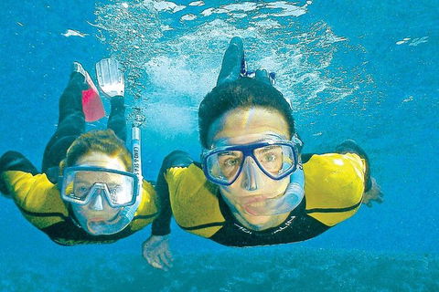 2Day 2 Night Sail, Snorkel & SUP Adventure Whitsundays Single - Redcliffe Tourism 4