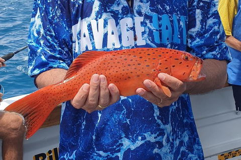 Morning Half Day Fishing Charter Airlie Beach Whitsundays - Redcliffe Tourism 4