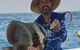Morning Half Day Fishing Charter Airlie Beach Whitsundays - thumb 6