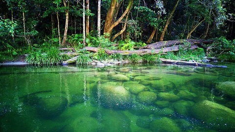 Cairns Adventure Package- 4 Tours In 3 Days! - Redcliffe Tourism 6