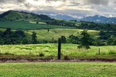 Tableland Tasting Tour - Redcliffe Tourism 0