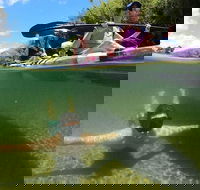 Babinda Half Day or Full Day Self-Guided Kayaking Experience - Redcliffe Tourism