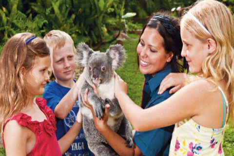 Kuranda Day Tour + HotAir Balloon Combo - Redcliffe Tourism 9