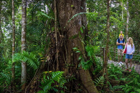 Kuranda Day Tour + HotAir Balloon Combo - Redcliffe Tourism 11