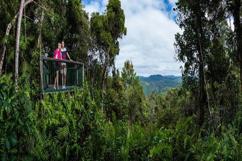 Kuranda Day Tour + HotAir Balloon Combo - Redcliffe Tourism 6