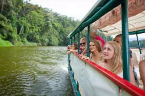 Kuranda Day Tour + HotAir Balloon Combo - Redcliffe Tourism 13