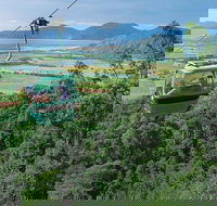 Kuranda Day Tour TKS-RFS GRAND GOLD PLUS 0930 - Redcliffe Tourism