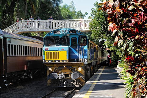 Kuranda Day Tour, TKS-RFS GRAND GOLD PLUS 0930 - Redcliffe Tourism 7