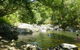 Waterfall And Wallabies Sighting Tour - thumb 2