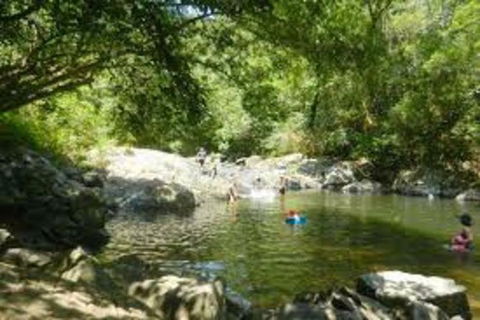 Waterfall And Wallabies Sighting Tour - Redcliffe Tourism 2