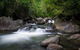 Waterfall And Wallabies Sighting Tour - thumb 0