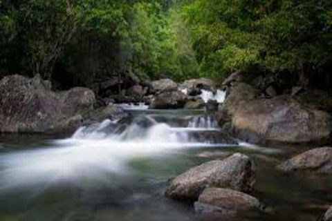 Waterfall And Wallabies Sighting Tour - Redcliffe Tourism 0