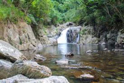 Waterfall And Wallabies Sighting Tour - Redcliffe Tourism 4