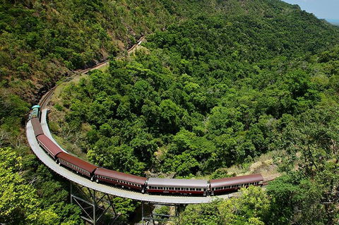 Kuranda Tour Deluxe Course With Kuranda 3 Zoos - Redcliffe Tourism 6