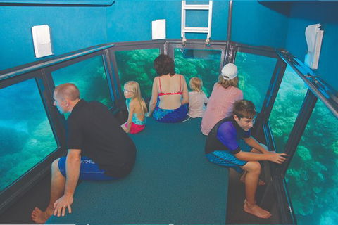 Cruise To Outer Reef - Cruise Return Plus 10 Minute Scenic Flight - Redcliffe Tourism 8