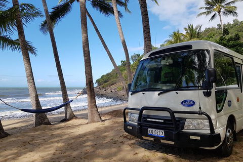Cairns To Port Douglas Shuttle Services, 3 Times Per Day - Redcliffe Tourism 4