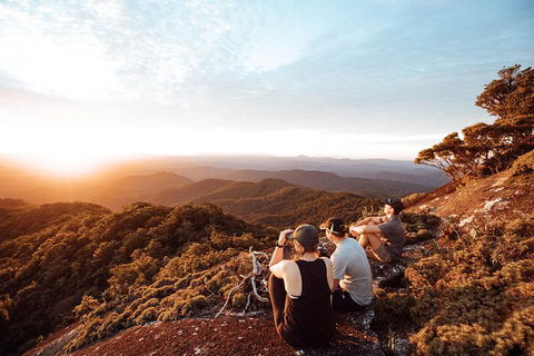 Cairns Rainforest Hiking Experience Incredible Mountains Remote Waterfall - Redcliffe Tourism 6