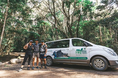 Cairns Rainforest Hiking Experience Incredible Mountains Remote Waterfall - Redcliffe Tourism 5