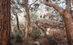 Cairns Rainforest Hiking Experience Incredible Mountains Remote Waterfall - thumb 3