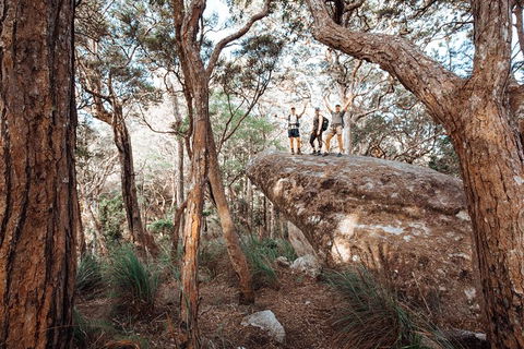 Cairns Rainforest Hiking Experience Incredible Mountains Remote Waterfall - Redcliffe Tourism 3