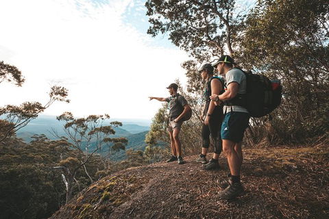 Cairns Rainforest Hiking Experience Incredible Mountains Remote Waterfall - Redcliffe Tourism 7