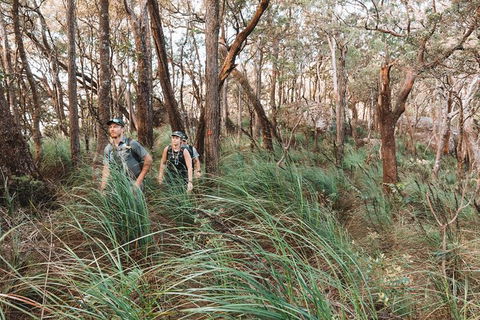 Cairns Rainforest Hiking Experience Incredible Mountains Remote Waterfall - Redcliffe Tourism 8