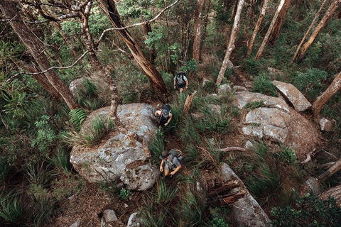 Cairns Rainforest Hiking Experience Incredible Mountains Remote Waterfall - Redcliffe Tourism 1