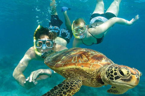 Cairns Pullman Cairns International 5 Nights Package Combo - Redcliffe Tourism 4