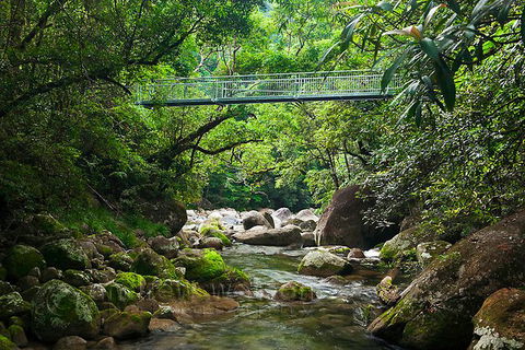 SHUTTLE - Mossman Gorge & Cooya Beach From Port Douglas (Return Transfer) - Redcliffe Tourism 4
