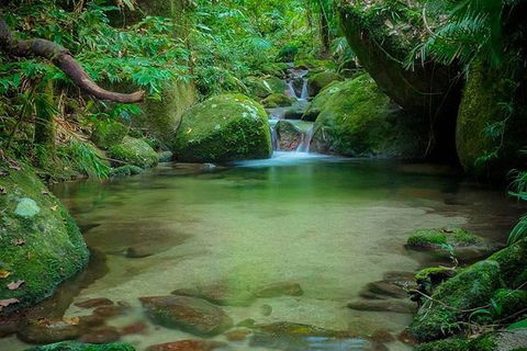 SHUTTLE - Mossman Gorge & Cooya Beach From Port Douglas (Return Transfer) - Redcliffe Tourism 2