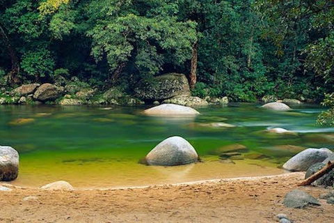 SHUTTLE - Mossman Gorge & Cooya Beach From Port Douglas (Return Transfer) - Redcliffe Tourism 1