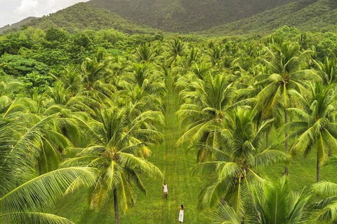 SHUTTLE - Thala Beach And Turtle Cove From Port Douglas (Return Transfer) - Redcliffe Tourism 1