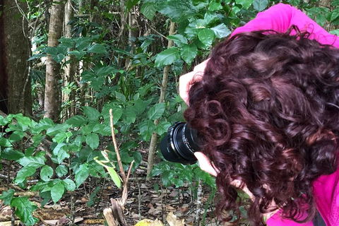 Let\'s Go Buggin & Let\'s Go Shroomin - Photography & Nature Walking Tours - Redcliffe Tourism 8