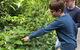 Let\'s Go Buggin & Let\'s Go Shroomin - Photography & Nature Walking Tours - thumb 9