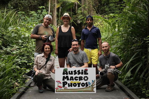 Let\'s Go Buggin & Let\'s Go Shroomin - Photography & Nature Walking Tours - Redcliffe Tourism 11