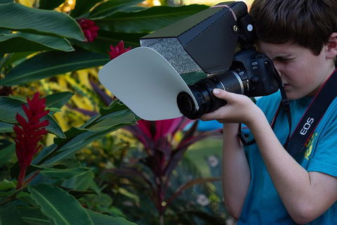 Let\'s Go Buggin & Let\'s Go Shroomin - Photography & Nature Walking Tours - Redcliffe Tourism 2