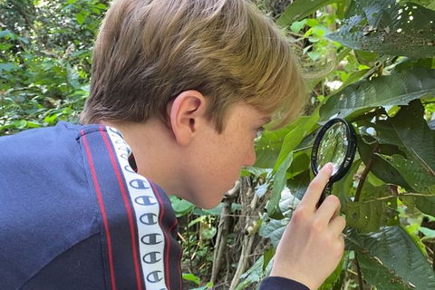 Let\'s Go Buggin & Let\'s Go Shroomin - Photography & Nature Walking Tours - Redcliffe Tourism 10